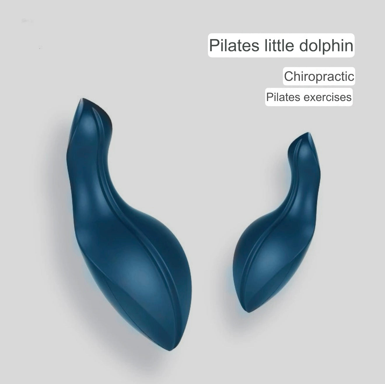Spine Correction OOV Training Tool image 4